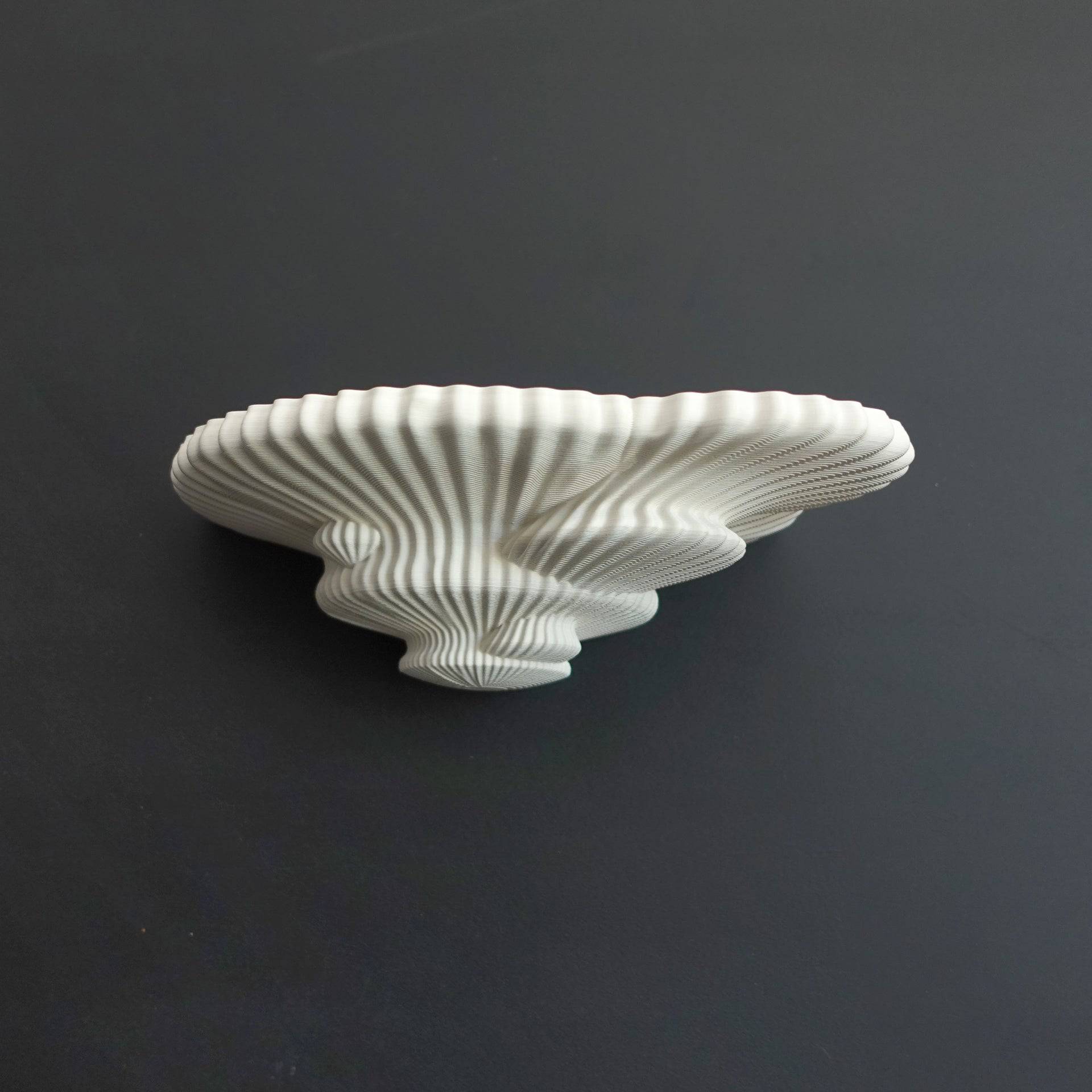 Tinder Fungus Shelf - Xeon Crafts