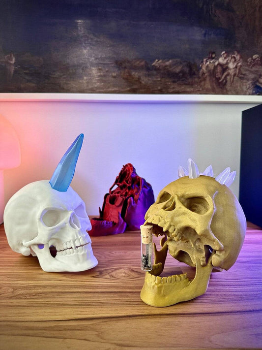 Skull Decoration - Xeon Crafts