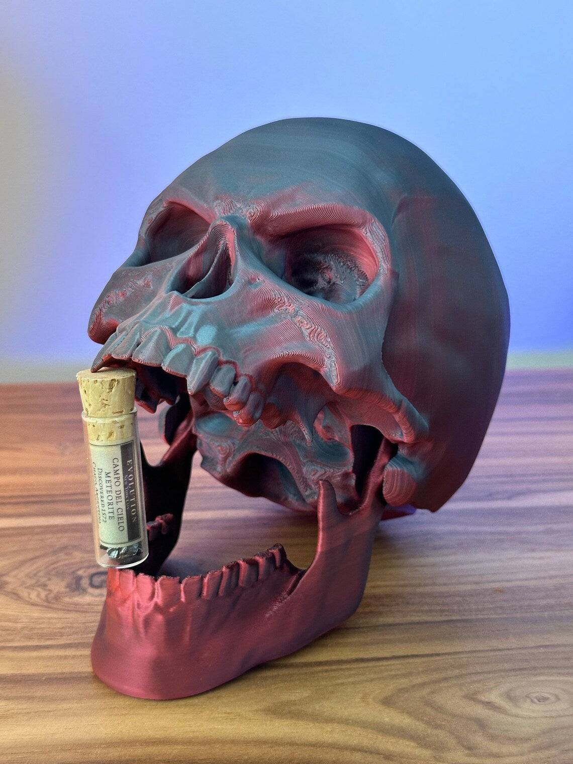 Skull Decoration - Xeon Crafts