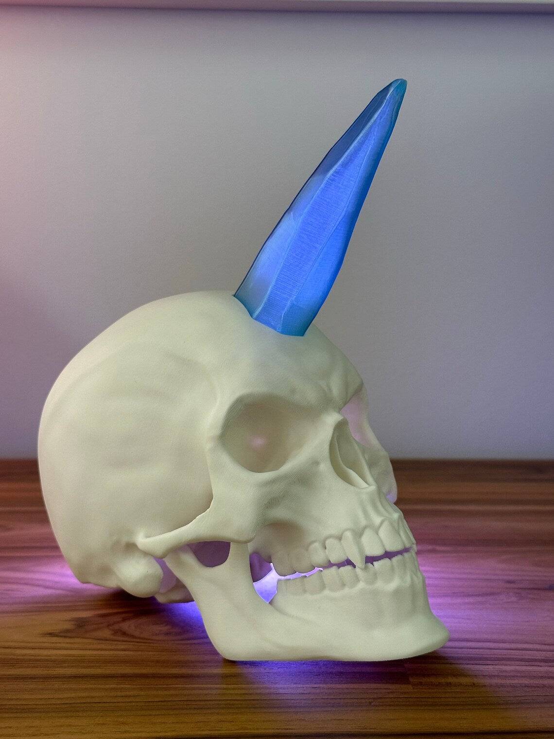 Skull Decoration - Xeon Crafts