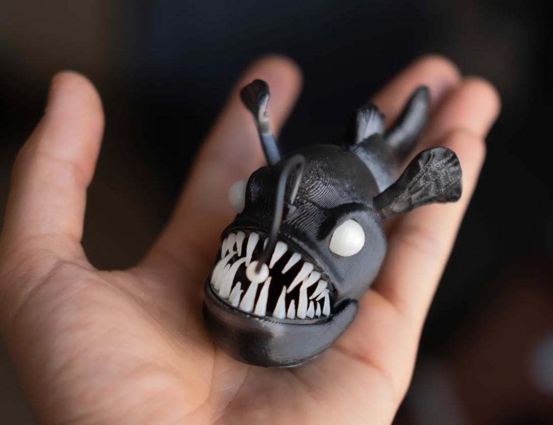 Flexible Anglerfish - A Tribute to the Deep Sea's Lost Wonder