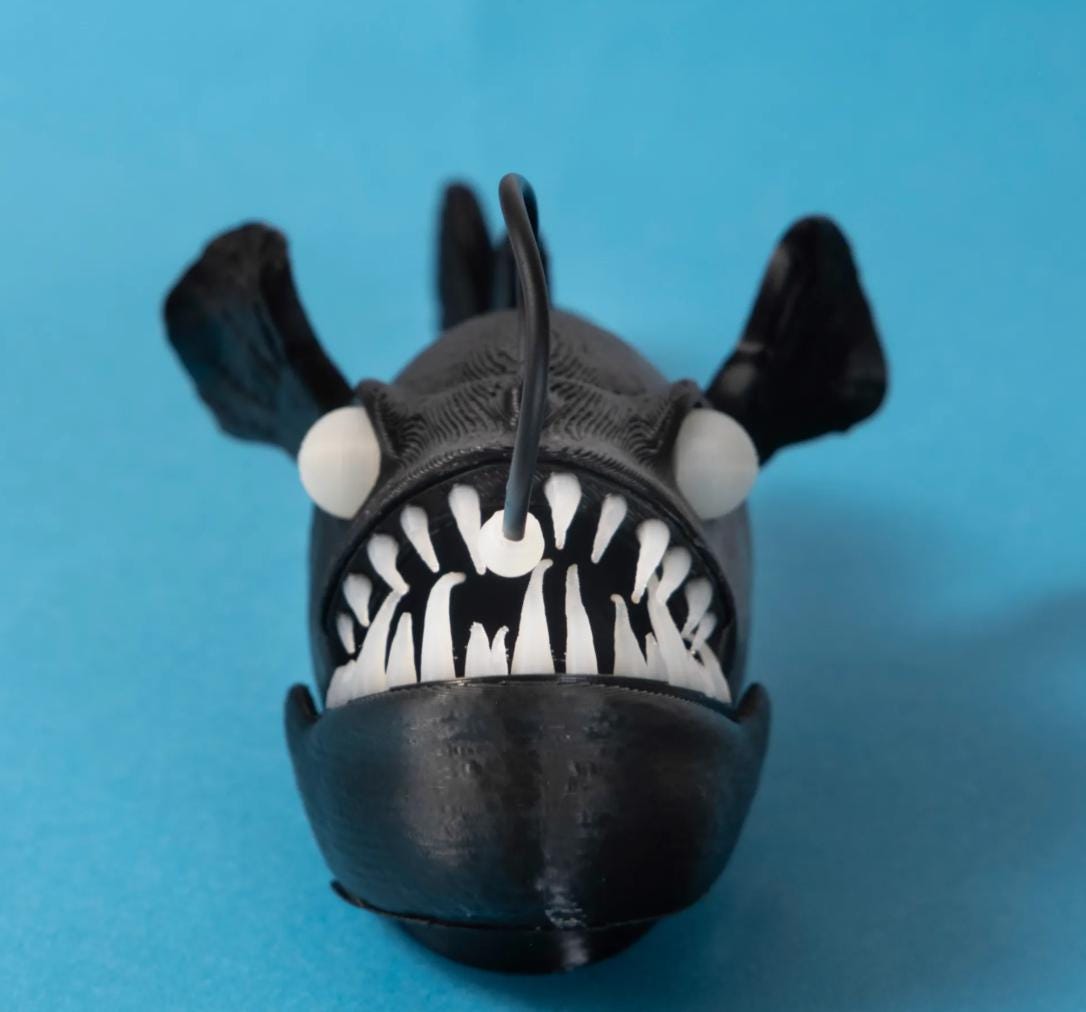 Flexible Anglerfish - A Tribute to the Deep Sea's Lost Wonder
