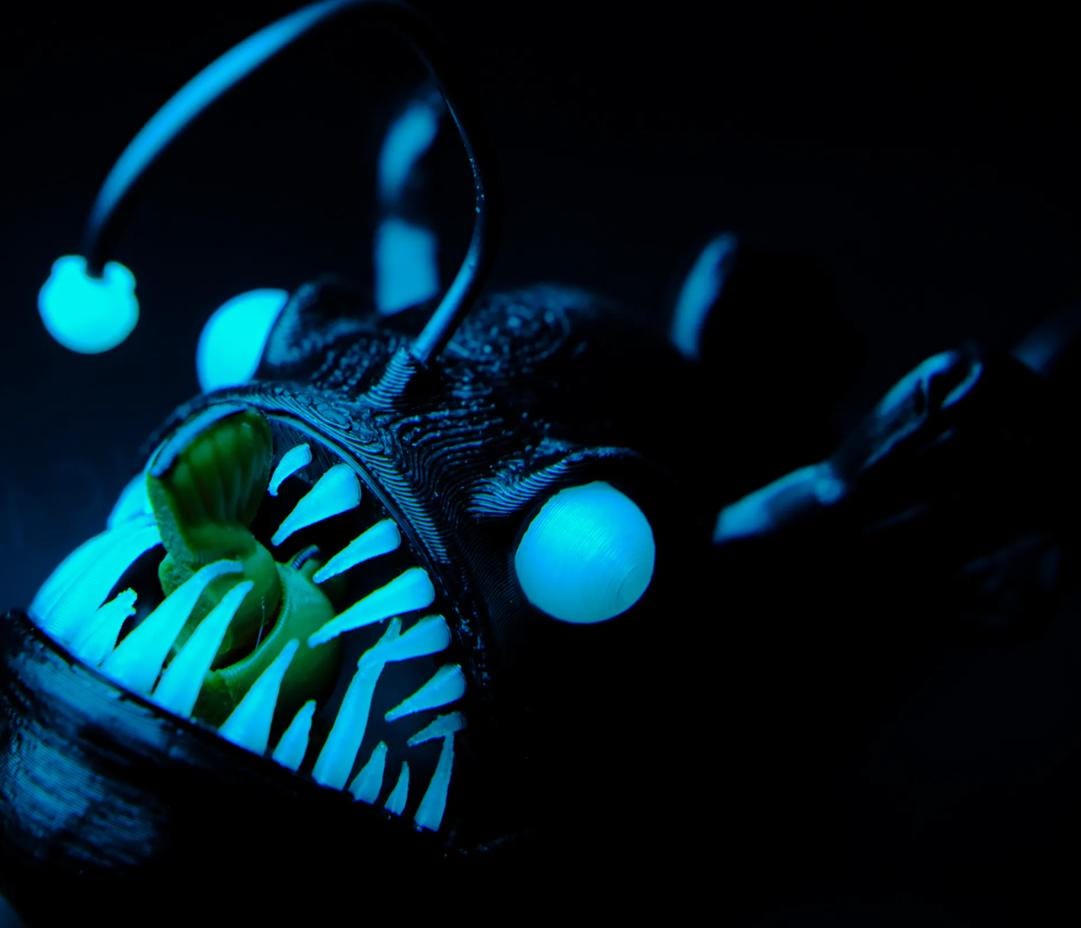Flexible Anglerfish - A Tribute to the Deep Sea's Lost Wonder