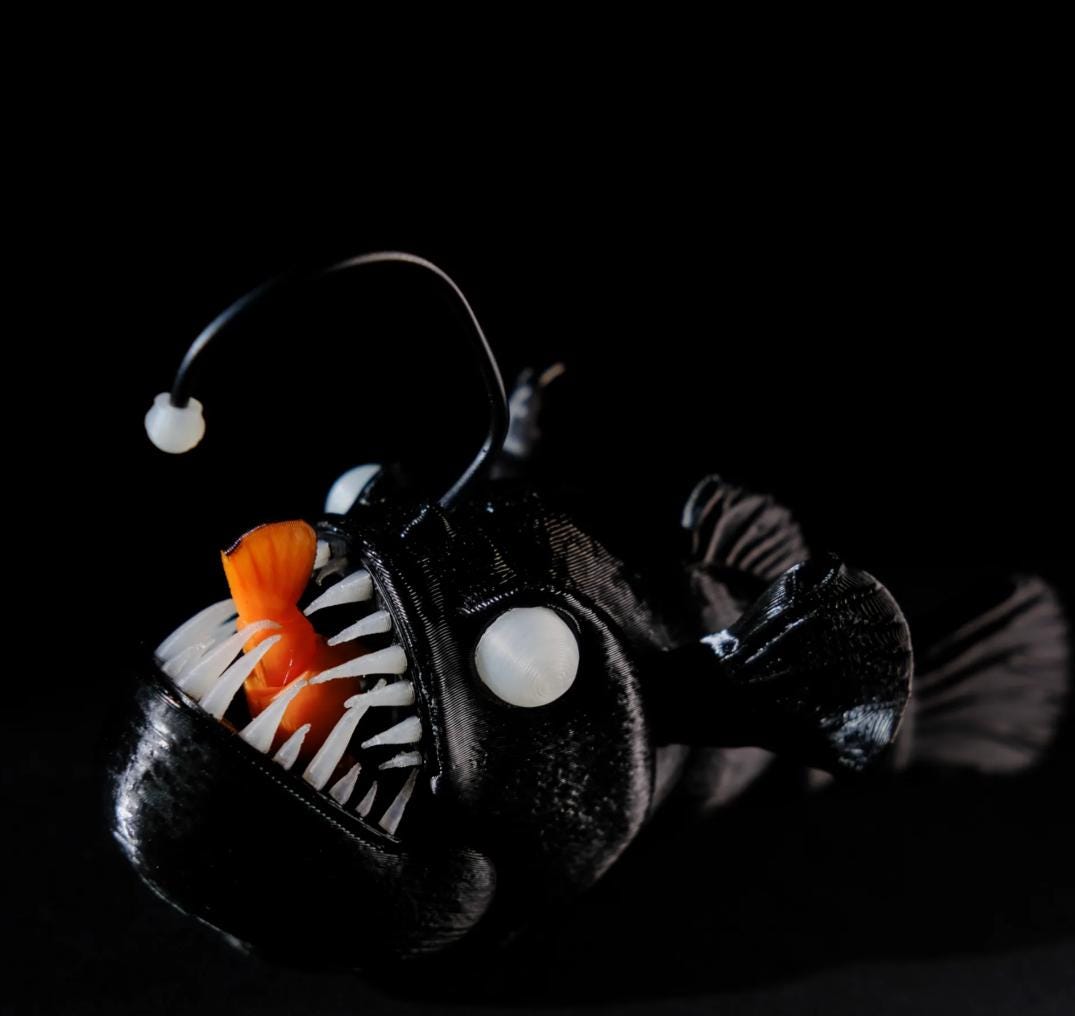Flexible Anglerfish - A Tribute to the Deep Sea's Lost Wonder
