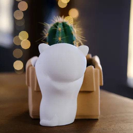 Kawaii Cat & Planter - Xeon Crafts