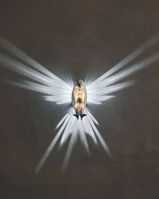 Bald Eagle Wall Light - Xeon Crafts
