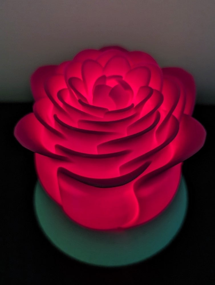 Illuminated Rose | Valentine's Gift Idea