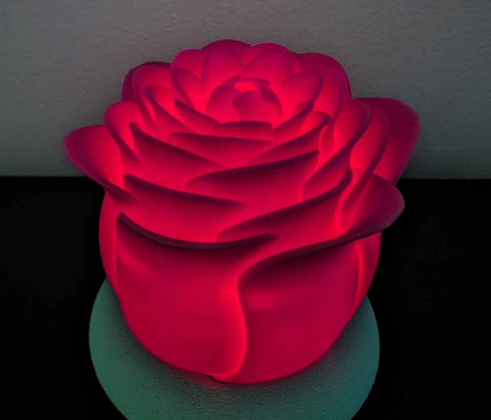 Illuminated Rose | Valentine's Gift Idea