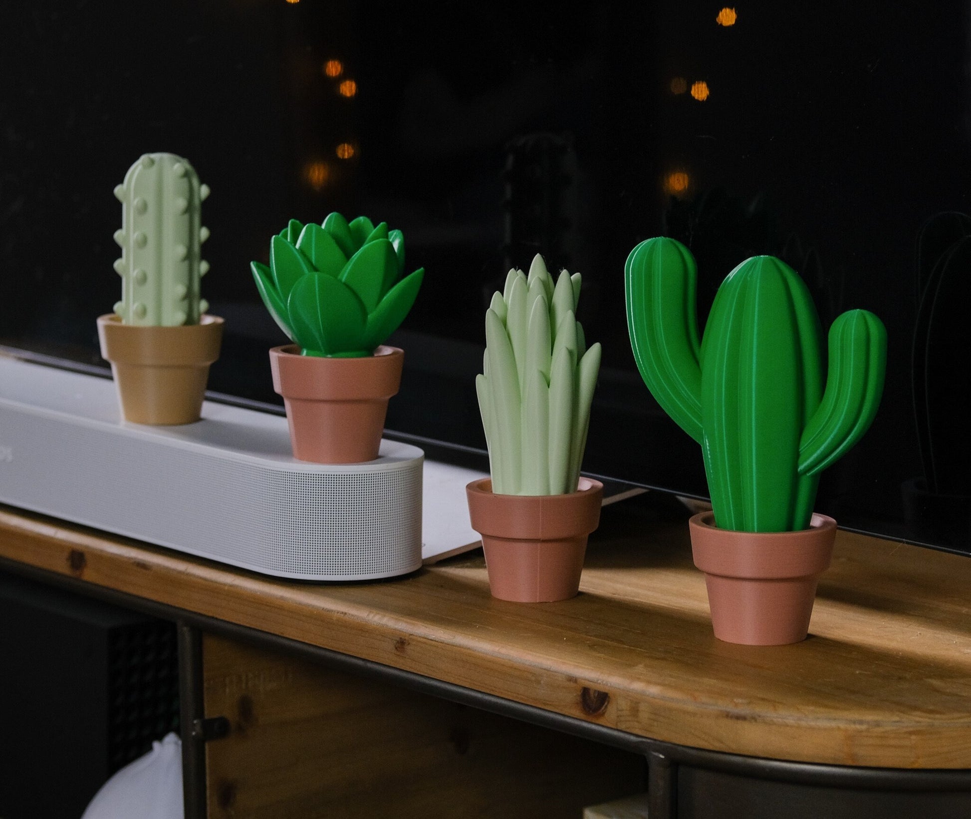 Cute Cacti | Home Decoration