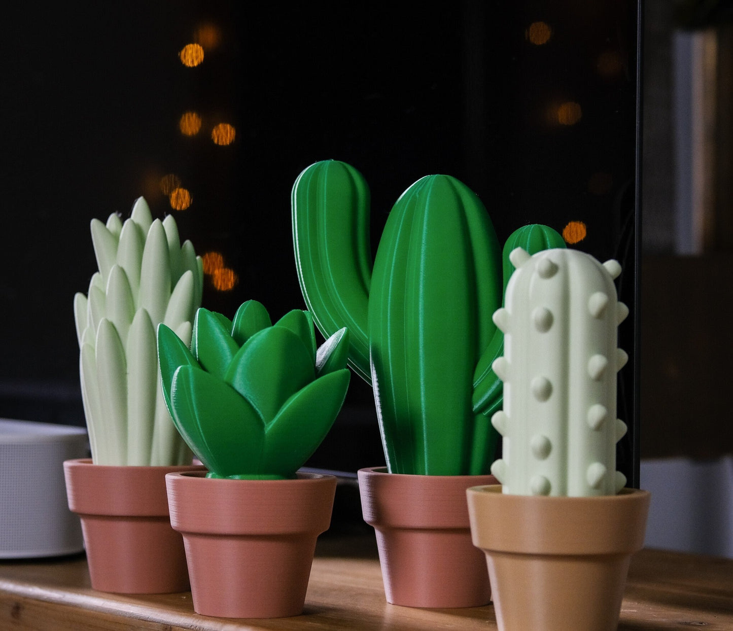 Cute Cacti | Home Decoration