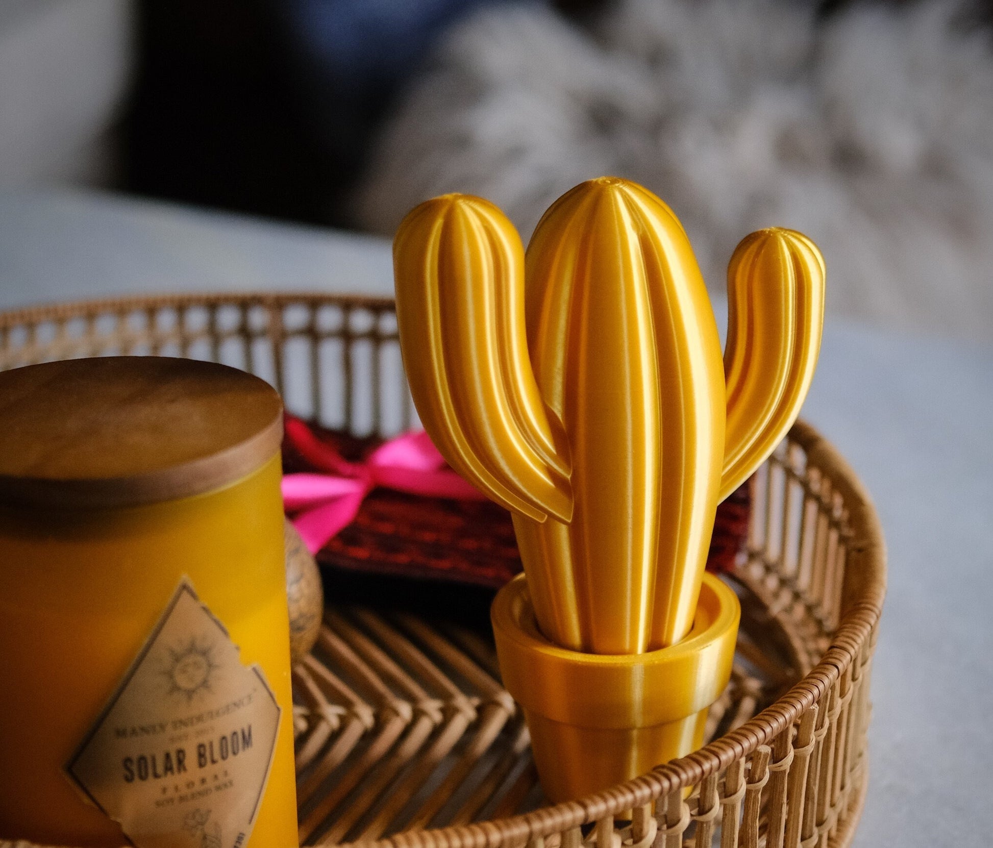 Cute Cacti | Home Decoration