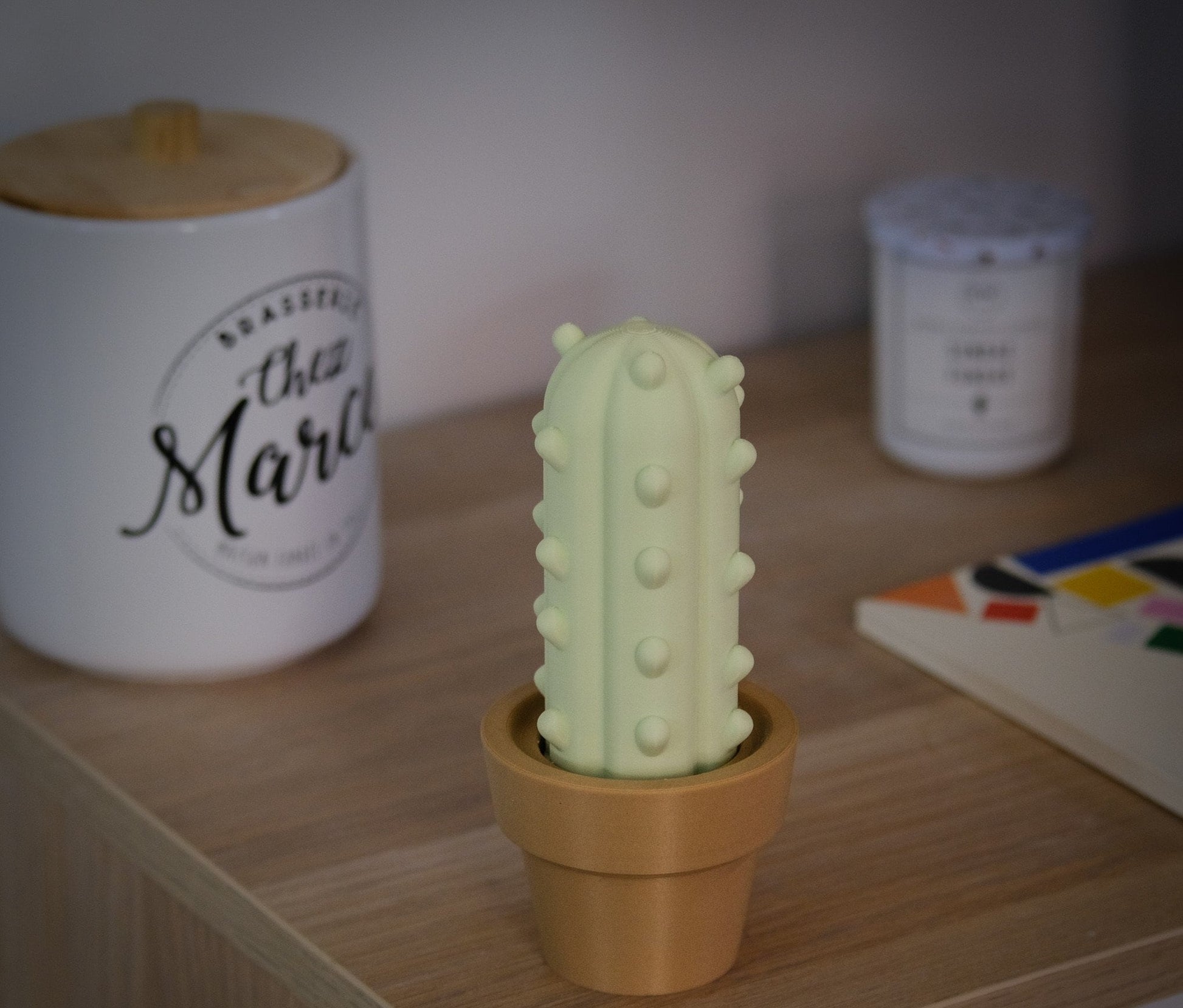 Cute Cacti | Home Decoration