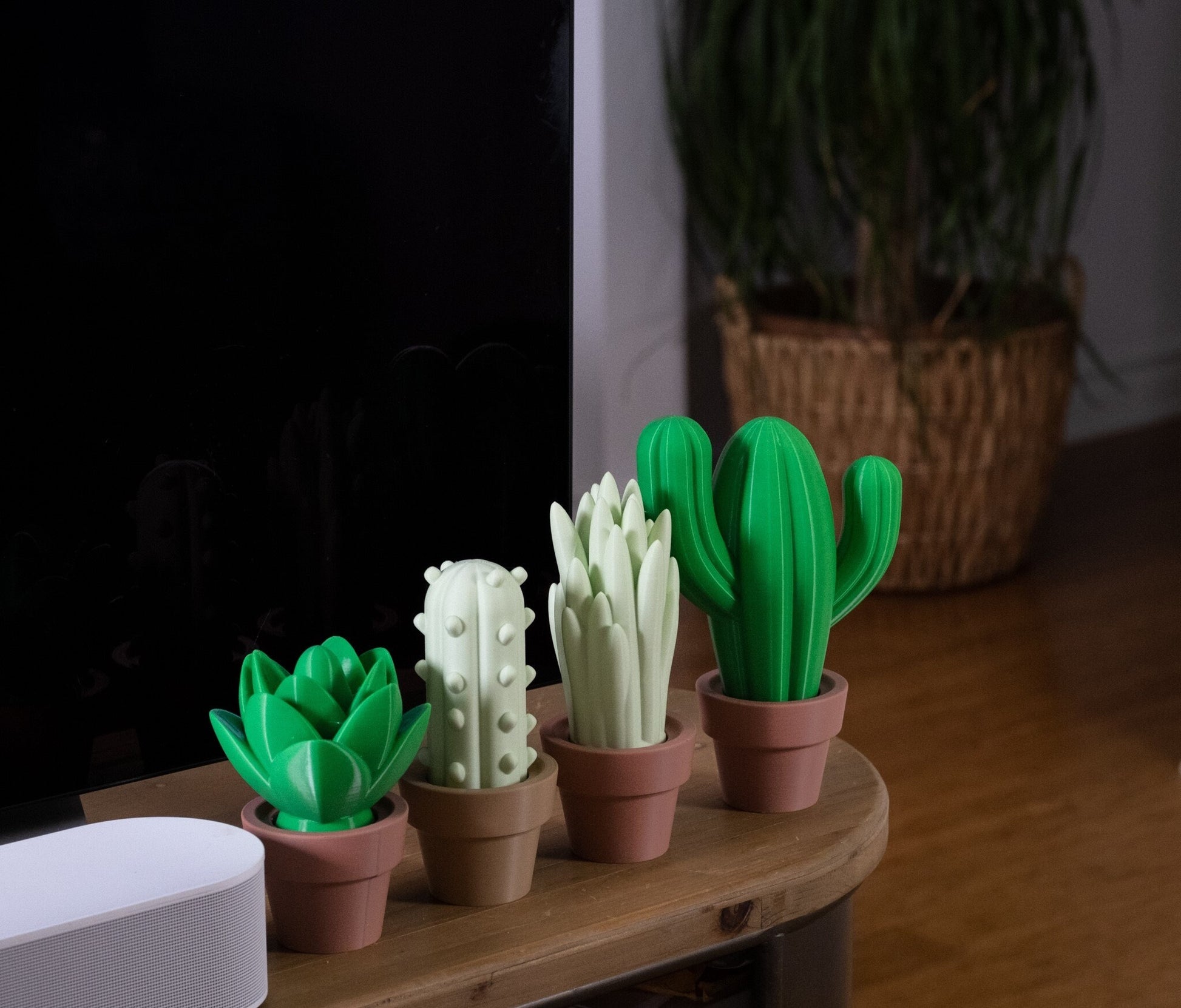 Cute Cacti | Home Decoration