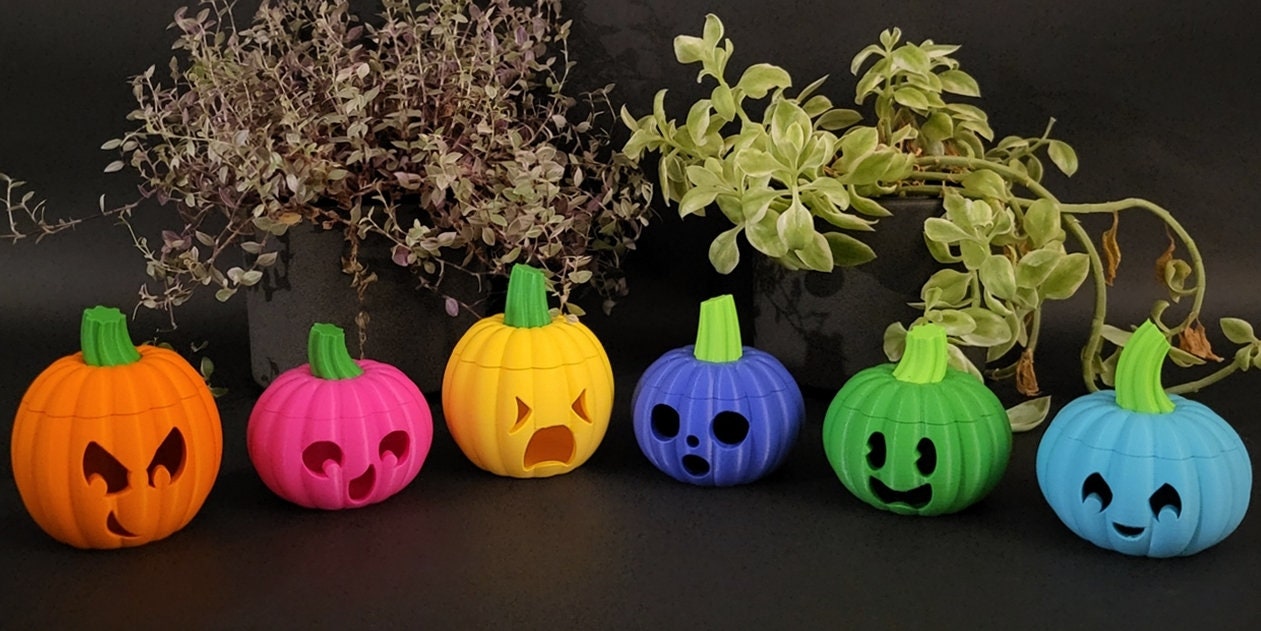 Pumpkin Family