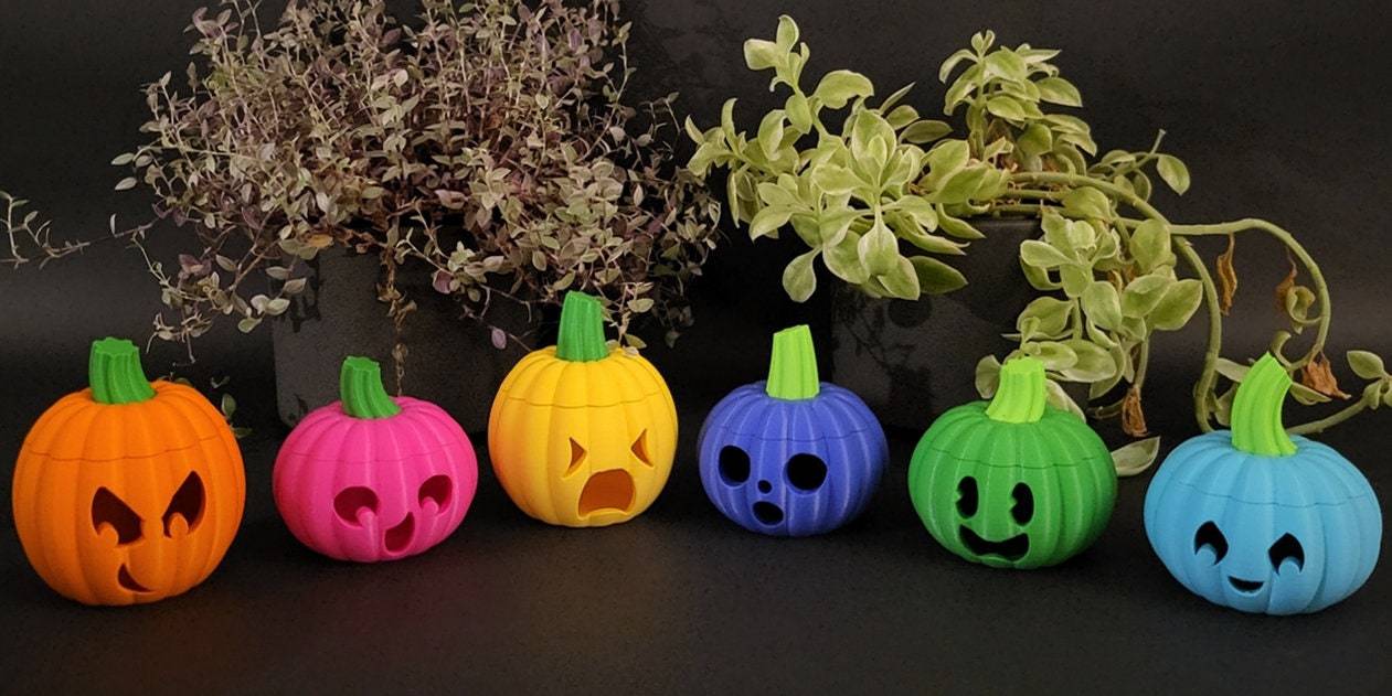 Pumpkin Family