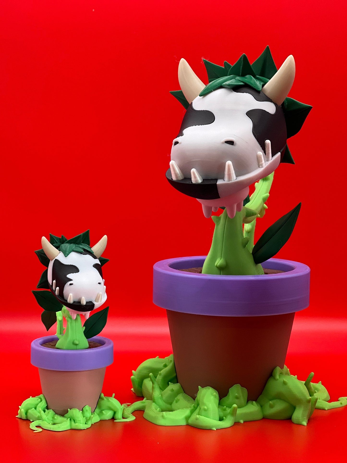 Baby Cow Plant