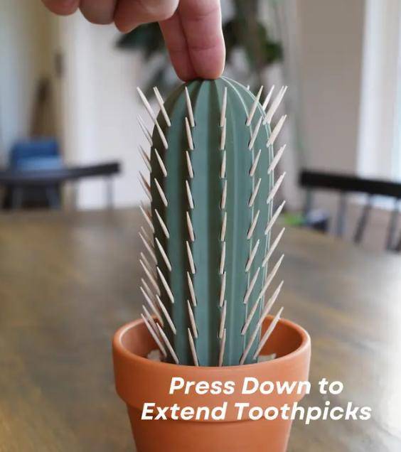 Toothpick Cactus | Home Decoration