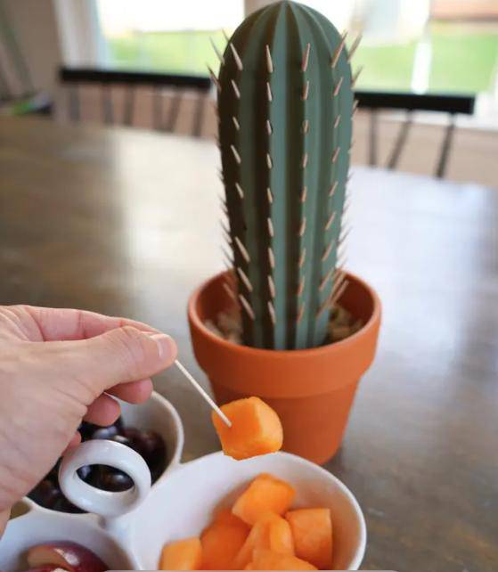 Toothpick Cactus | Home Decoration