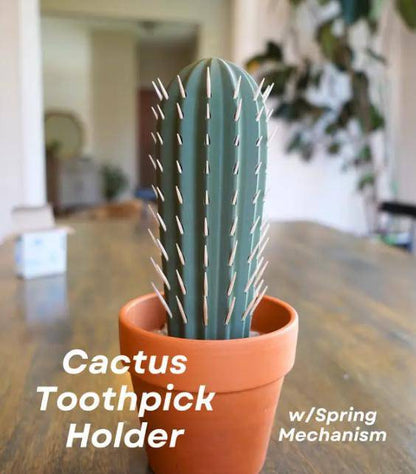 Toothpick Cactus | Home Decoration