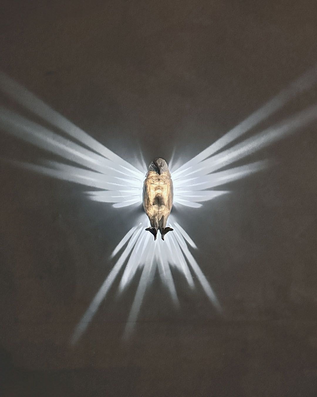 Bald Eagle Wall Light - Xeon Crafts 
